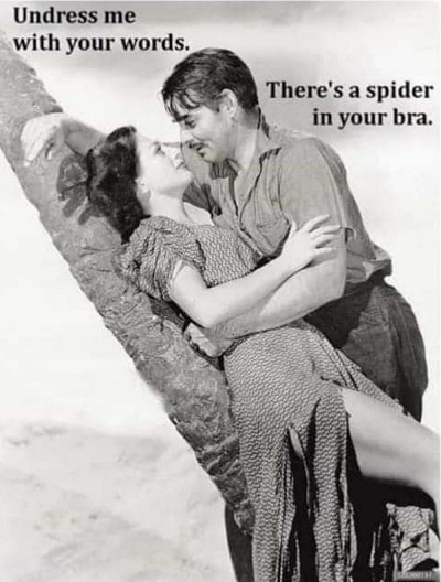 couple in embrace: 'Undress me with your words.' 'There's a spider in your bra'